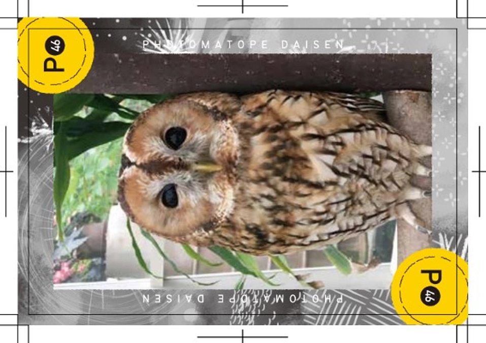 【フォトカード紹介２８】～松江フォーゲルパーク/ 島根県松江市～