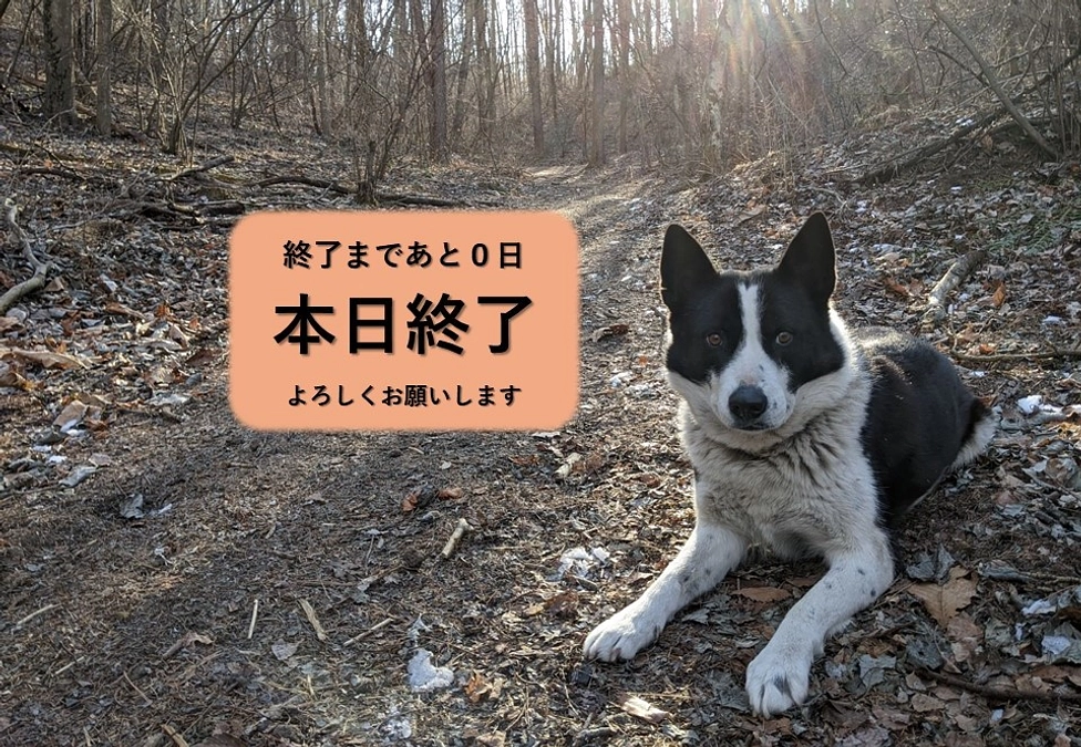 いよいよ最終日となりました！！　