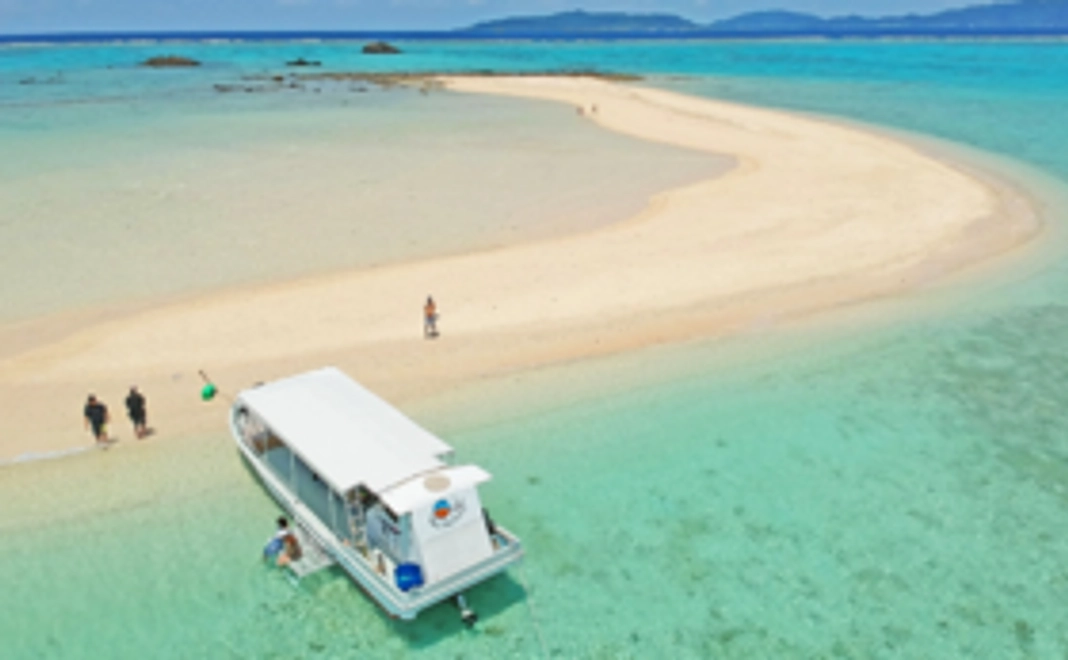 活動内容をまとめたDVDをお届けします！