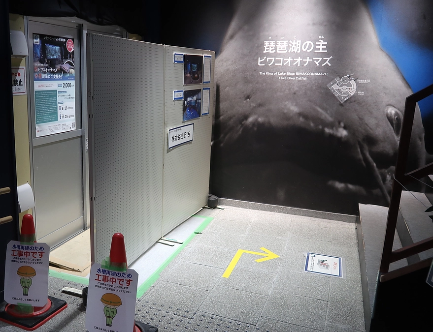 新ビワコオオナマズ水槽等の工事の進捗状況について