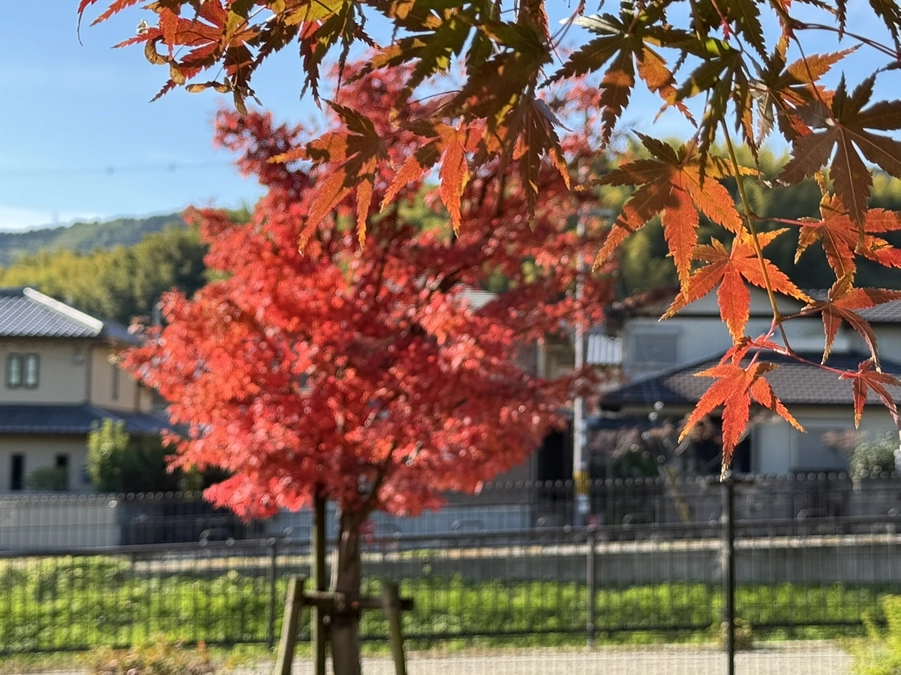 残り4日！！！　直接ご支援いただいたみなさまをご紹介します。