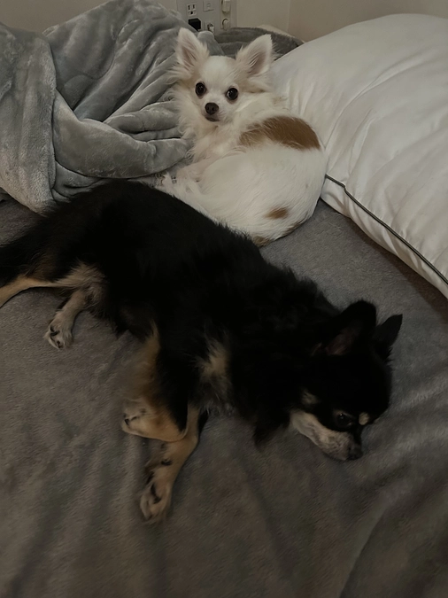 残り５日となりました！