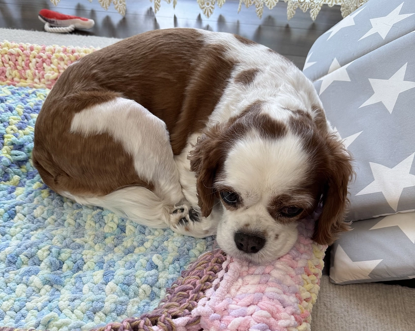 達成率がなかなか進まず…【11日目】