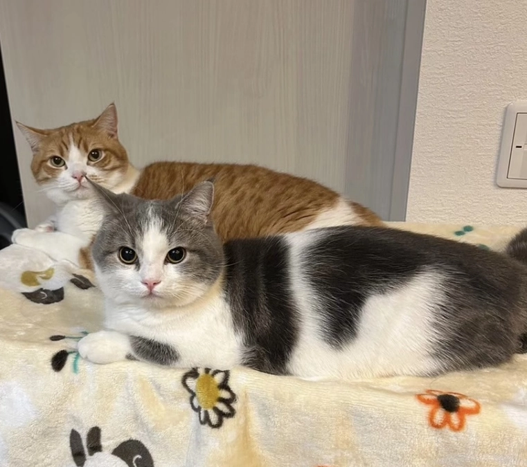 残り22日となりました。