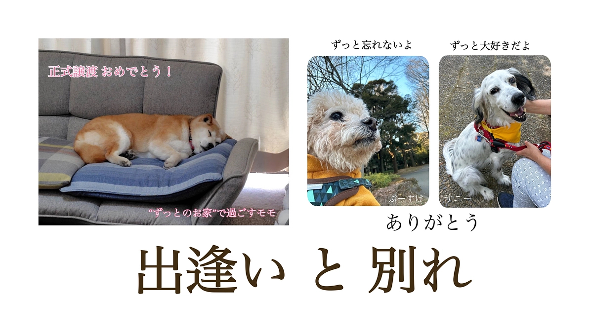 いろんな涙。。。