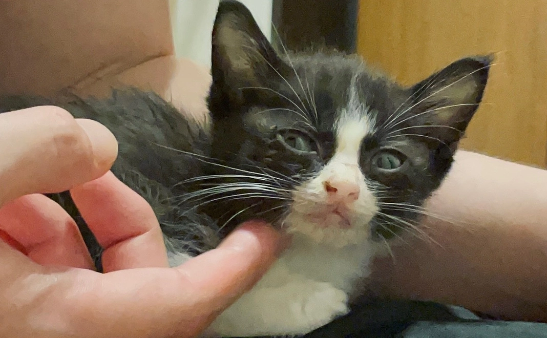 ぐりくんがんばれ