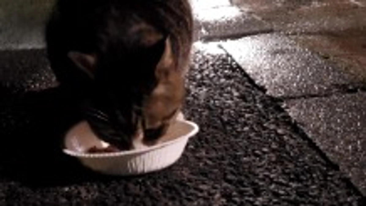 プロジェクト達成出来ました。お力貸していただいた皆様本当にありがとうございました。