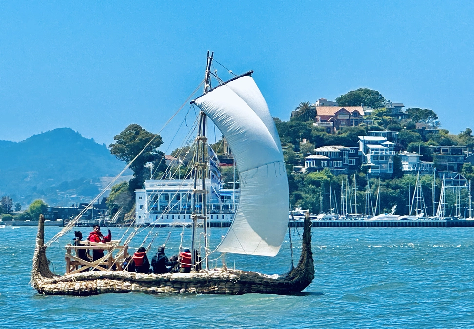 【サンクスメール】プロジェクトが無事終了しました！