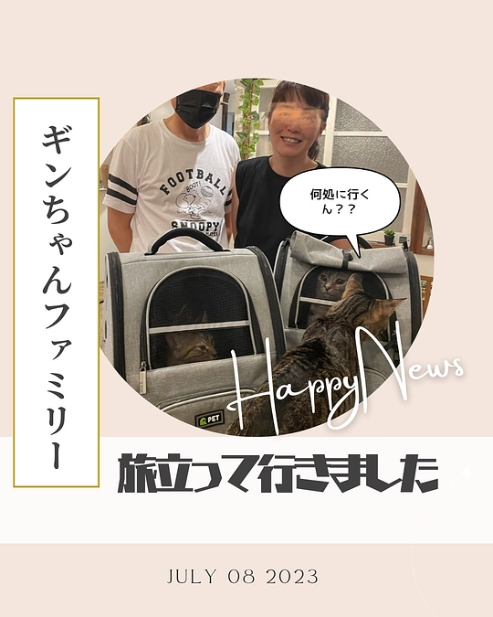 銀ちゃんファミリーが里親に行きました。