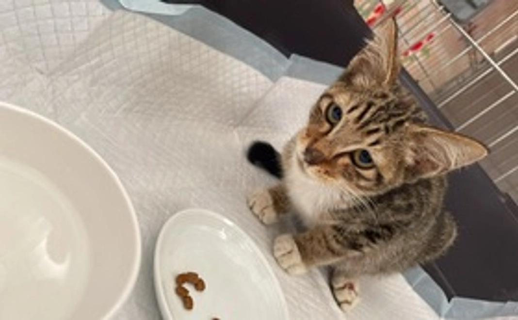 感謝のメール１