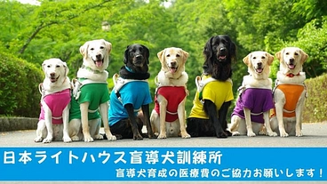 日本ライトハウス盲導犬訓練所｜社会で支え合う盲導犬育成を目指して!