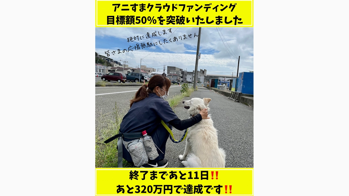 あと11日/目標まであと約320万円