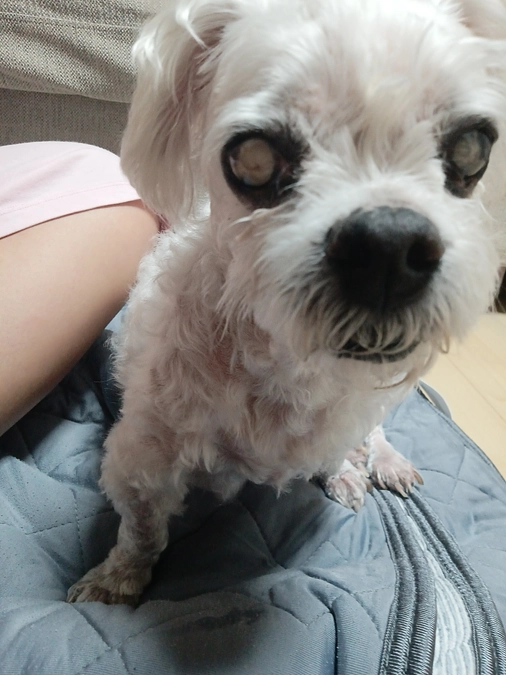 クラファン達成から2年が経ちました