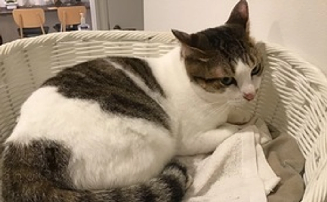 ポストカードと感謝のメッセージ