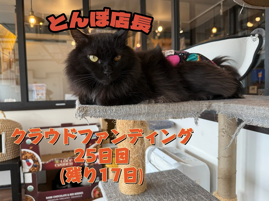 一生忘れないよ