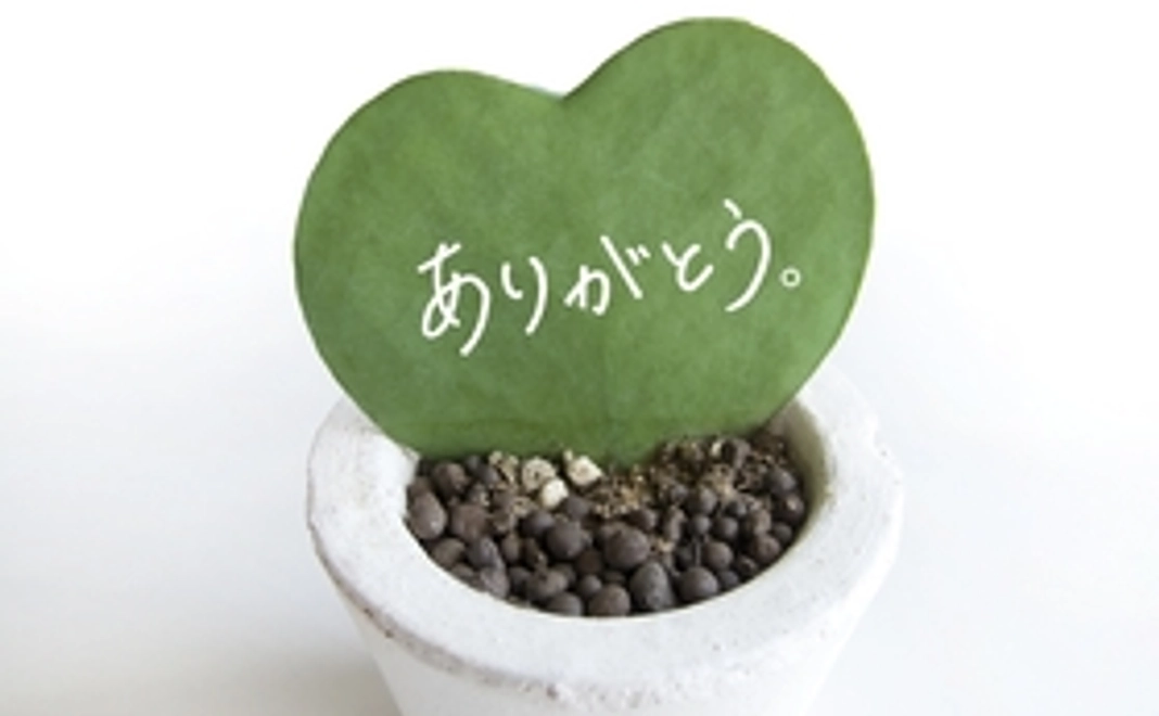 応援プラン3,000円