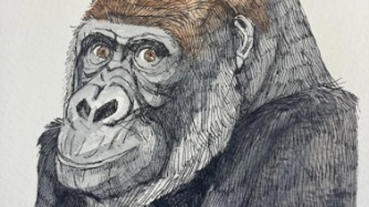 【追加新リターンのご紹介】阿部知暁様プレミアムグッズ|モンタ・ローラのポストカードセット