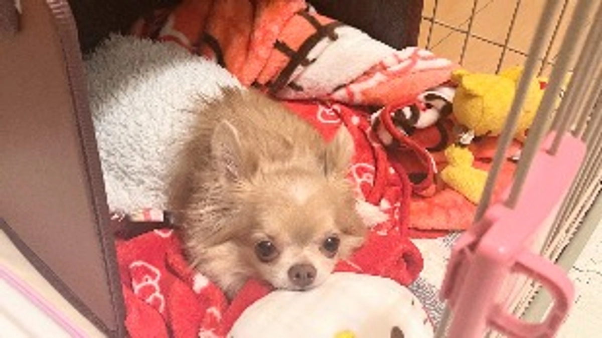 ありがとうございます🙇‍♀️