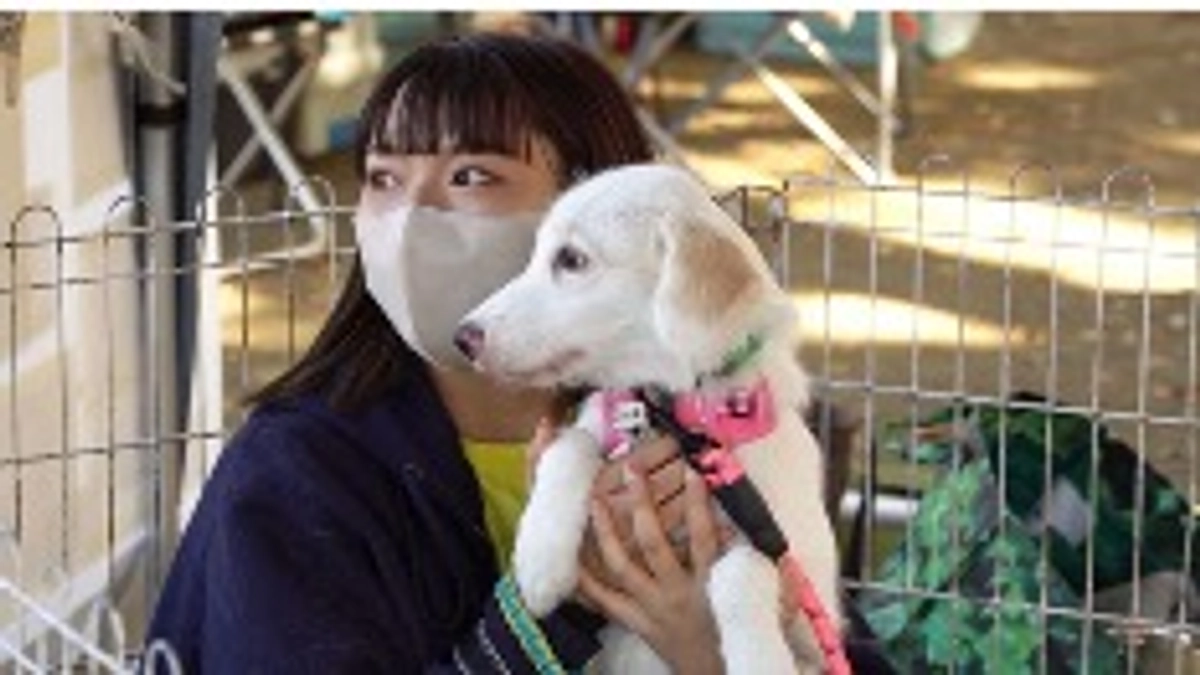 【ネクストゴールに挑戦中！東京での上映が決まりました！！】