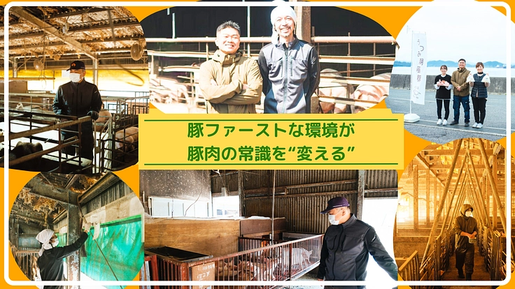 豚肉の常識が変わる！肥育環境のこだわりを支える豚舎改修工事の実現を