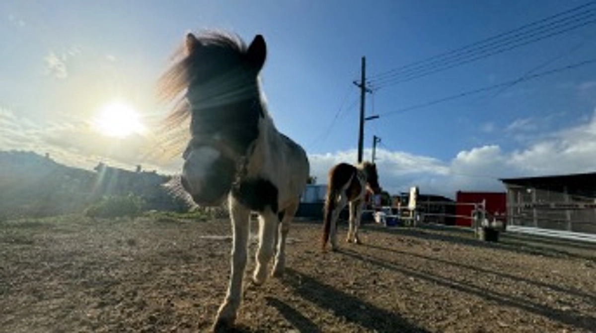 イケメンのピーナツ