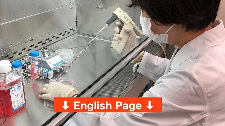 新型コロナウイルス感染症：重症化を抑える新薬の開発に向けた第一歩を