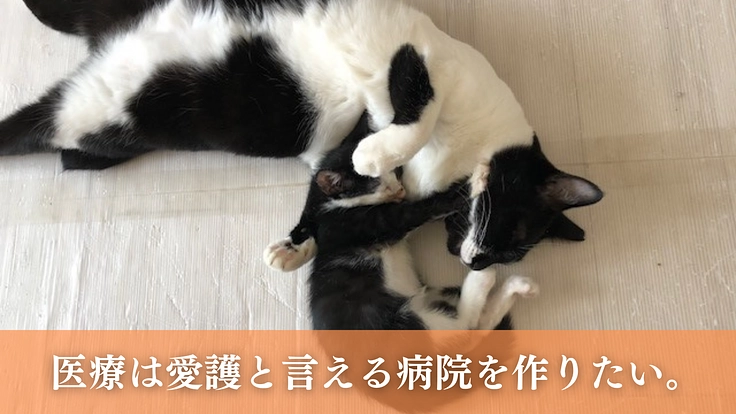 こぼれ落ちていく命を1つでも多く救う。動物病院の設備を拡充 2枚目