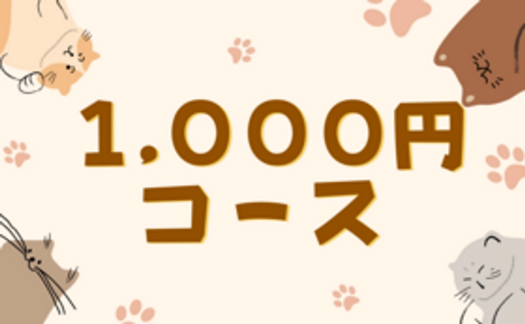 【1,000円コース】感謝のメール＋ポストカード