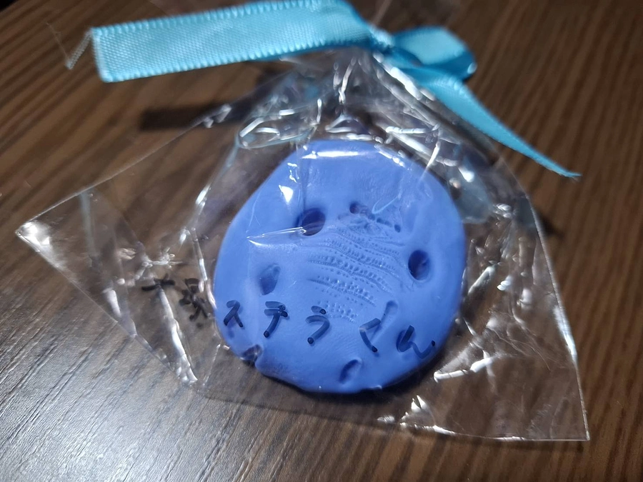 ステラの様子とチラシを配ってきました。