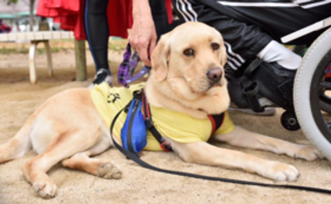 テントとwebにお名前を掲載