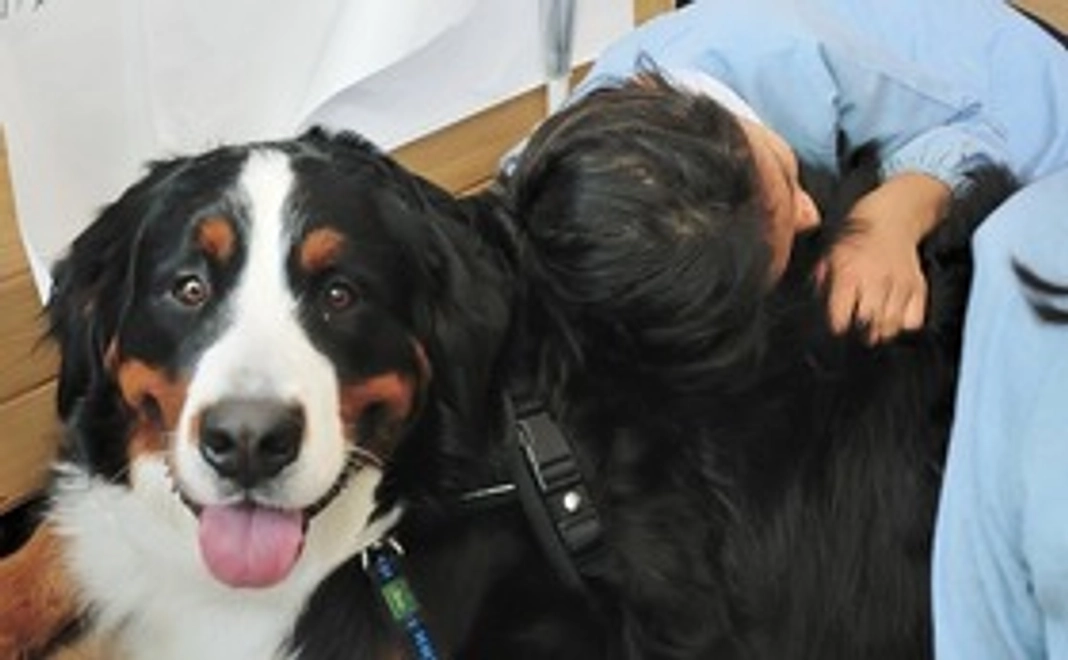 レギュラー支援