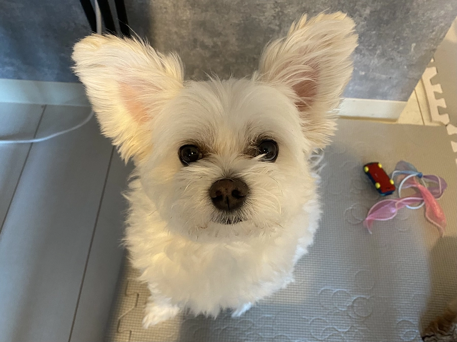 本日20時よりインスタライブを行います