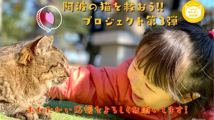 【第3弾】阿波の猫たちを救う。過酷な環境下で暮らす猫のいない未来へ