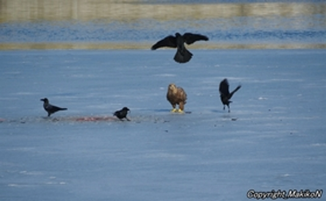 サポート＠10000