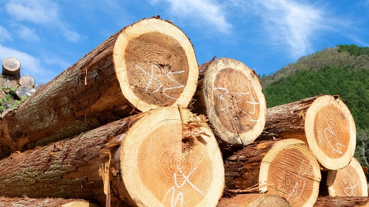 世界に発信する木材と建築のプロが造る『トレーラーハウス』