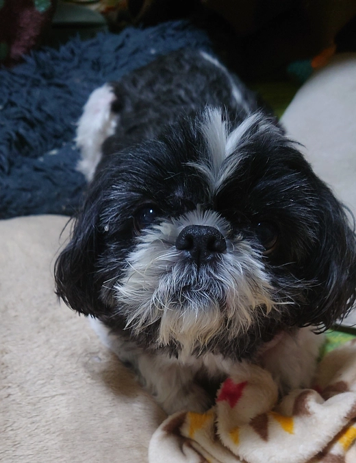 プロジェクト開始から一週間経ちました。