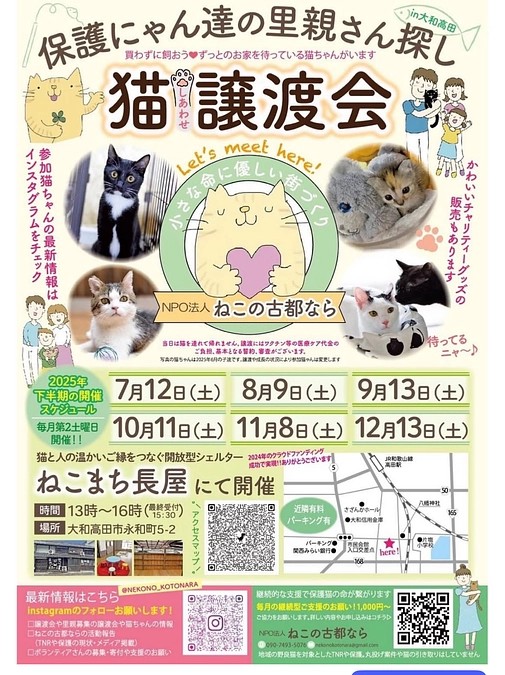 🐱本日はねこまち長屋で譲渡会です🐱