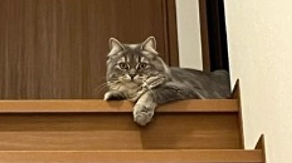 10/2  闘病36日目