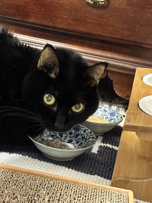 長かった夜と通院報告