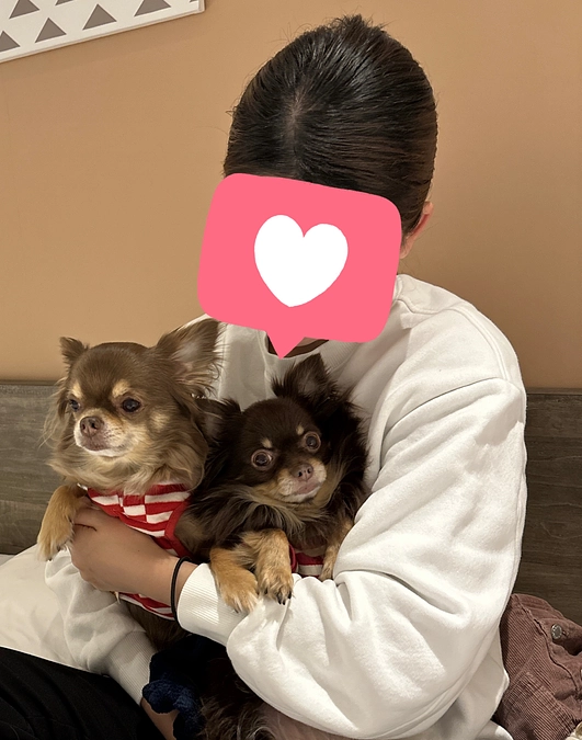 手術まであと1週間