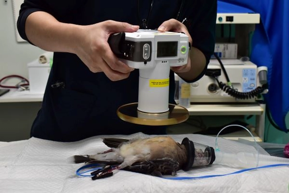 【クラウドファンディング達成後の現状報告】工事の進捗とポータブルレントゲンの活用