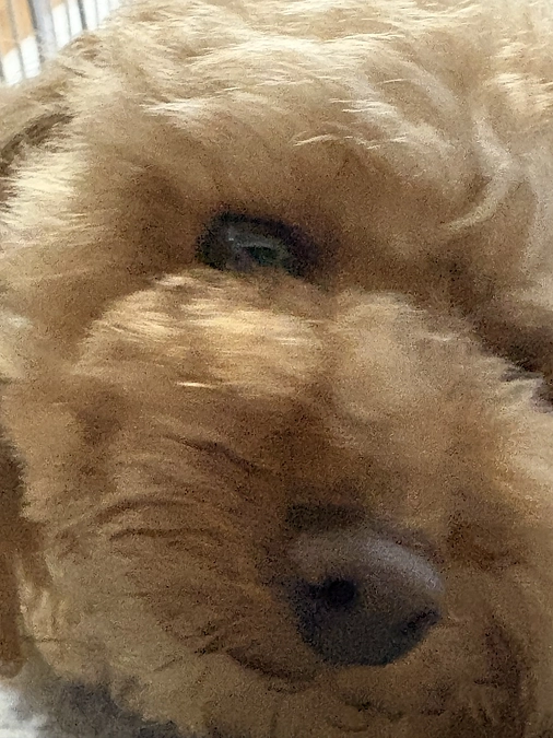 １１月２日のゆむ君