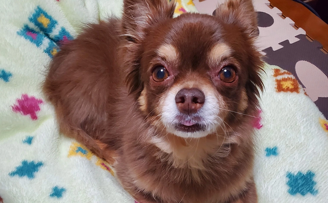 リターンなし　3000円