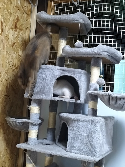 今年はエアコンがかかせない！