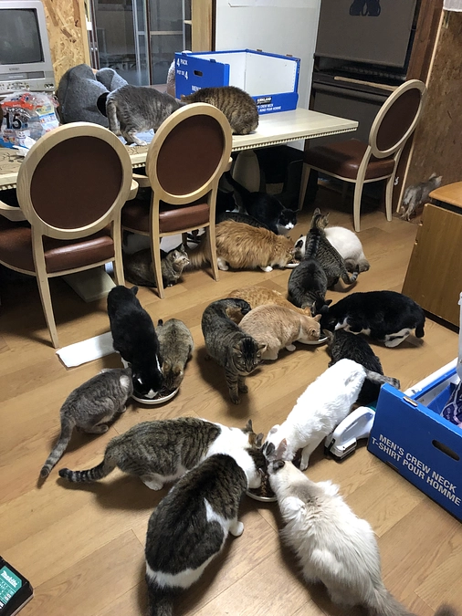 ご無沙汰しています。