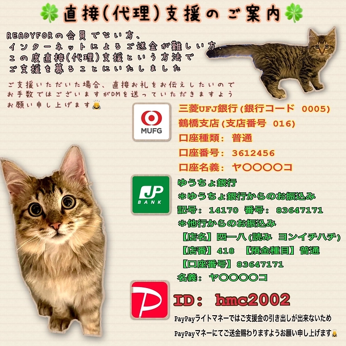 心からのお礼と、ちゃむの様子＆代理支援のご報告です