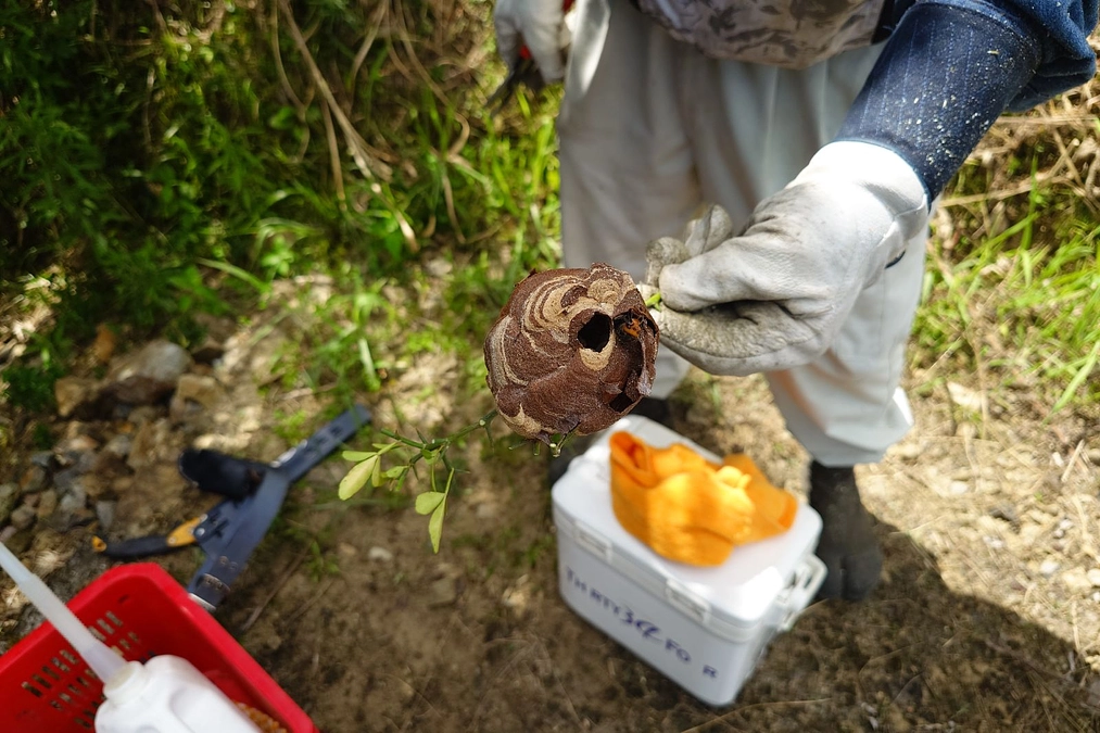 締め切りまで残り13日