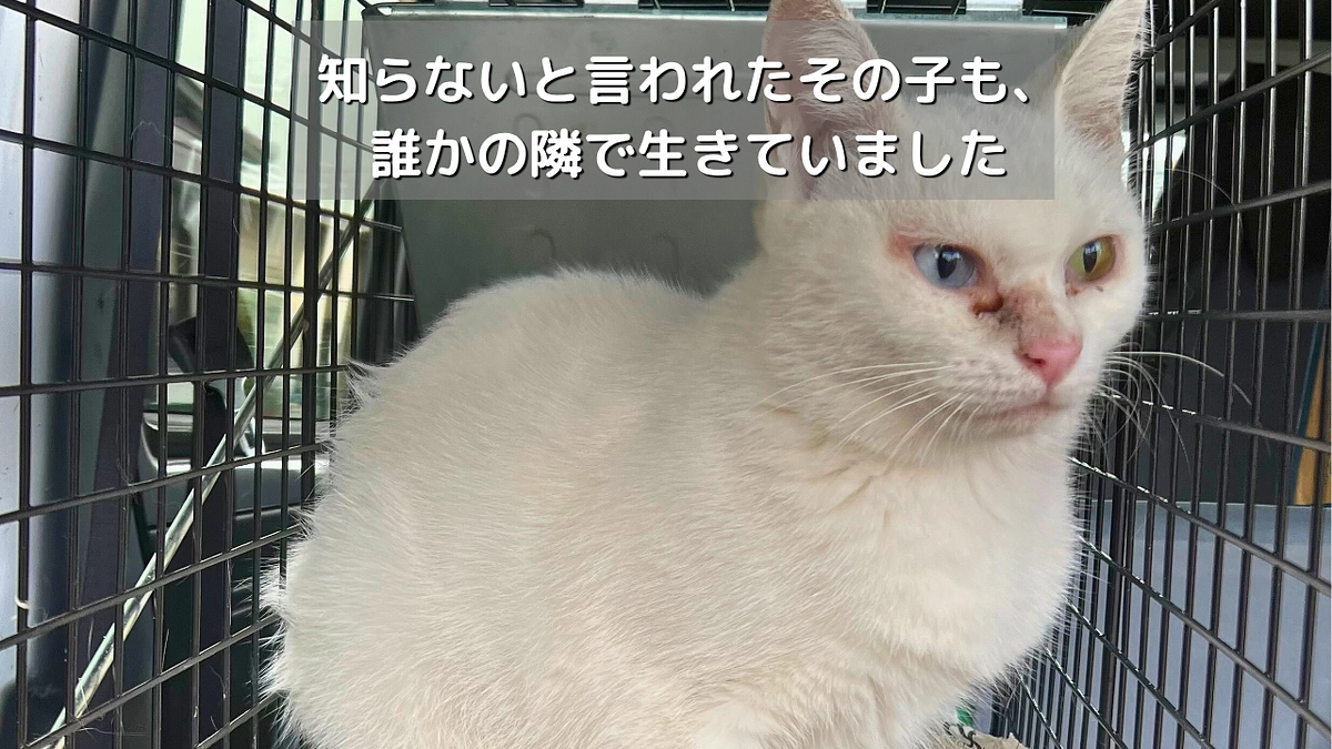  「知らない」と言われたその子も、誰かの隣で生きていました。#12