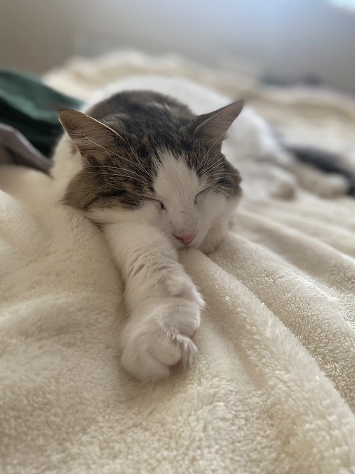 達成のご報告💐