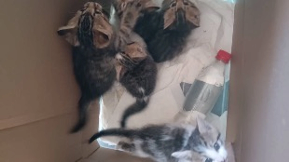 今日は朝のゴミ出しからずっと大忙しに。